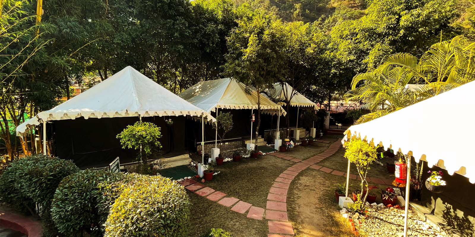 AquaForest Rishikesh: #1 Camping Site in Rishikesh